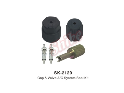 SK-2129